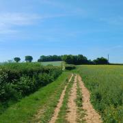 The East Deane Way footpath near Cutliffe Farm, looking south towards Trull